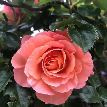 Appartement Stres-less Sunny Kobarid