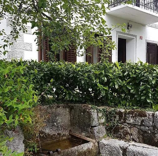 Stres-less Sunny * 科巴里德