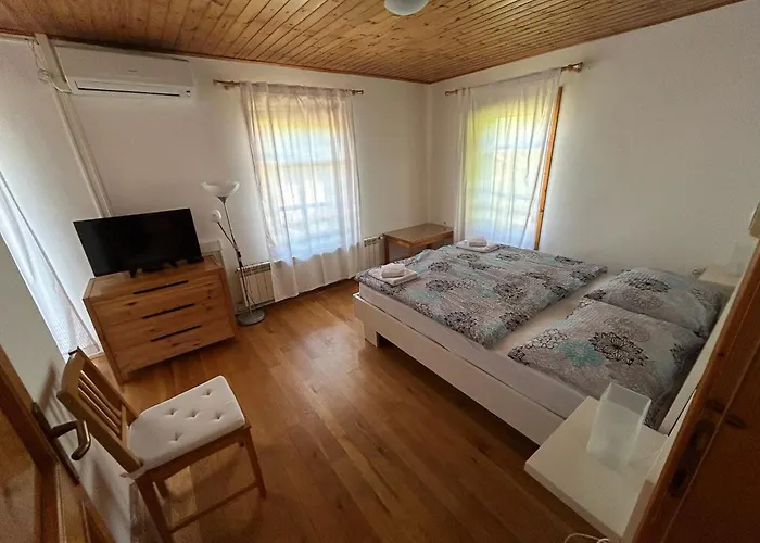 Stres-less Sunny * 科巴里德