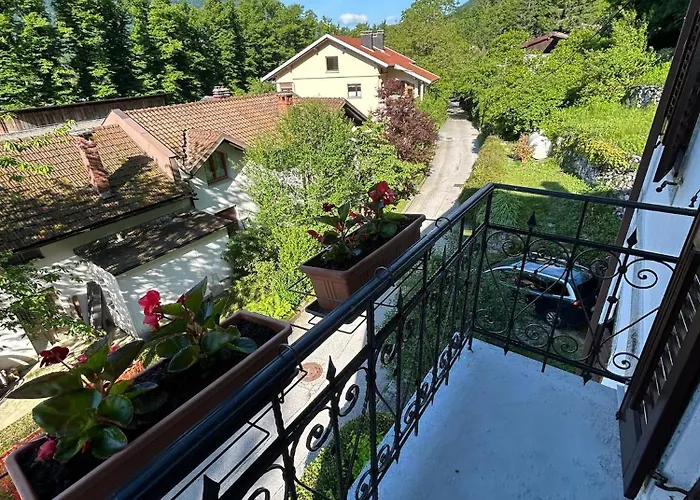 Stres-less Sunny * 科巴里德